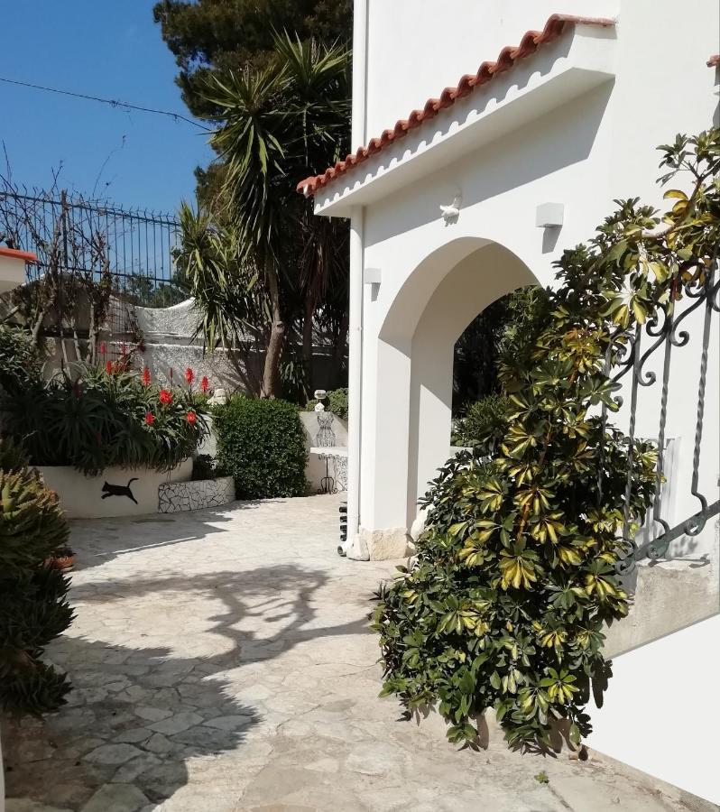 B&B L'Altare Bianco Vieste Ngoại thất bức ảnh