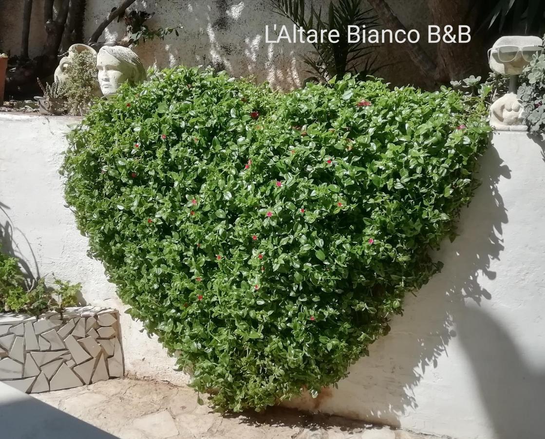 B&B L'Altare Bianco Vieste Ngoại thất bức ảnh